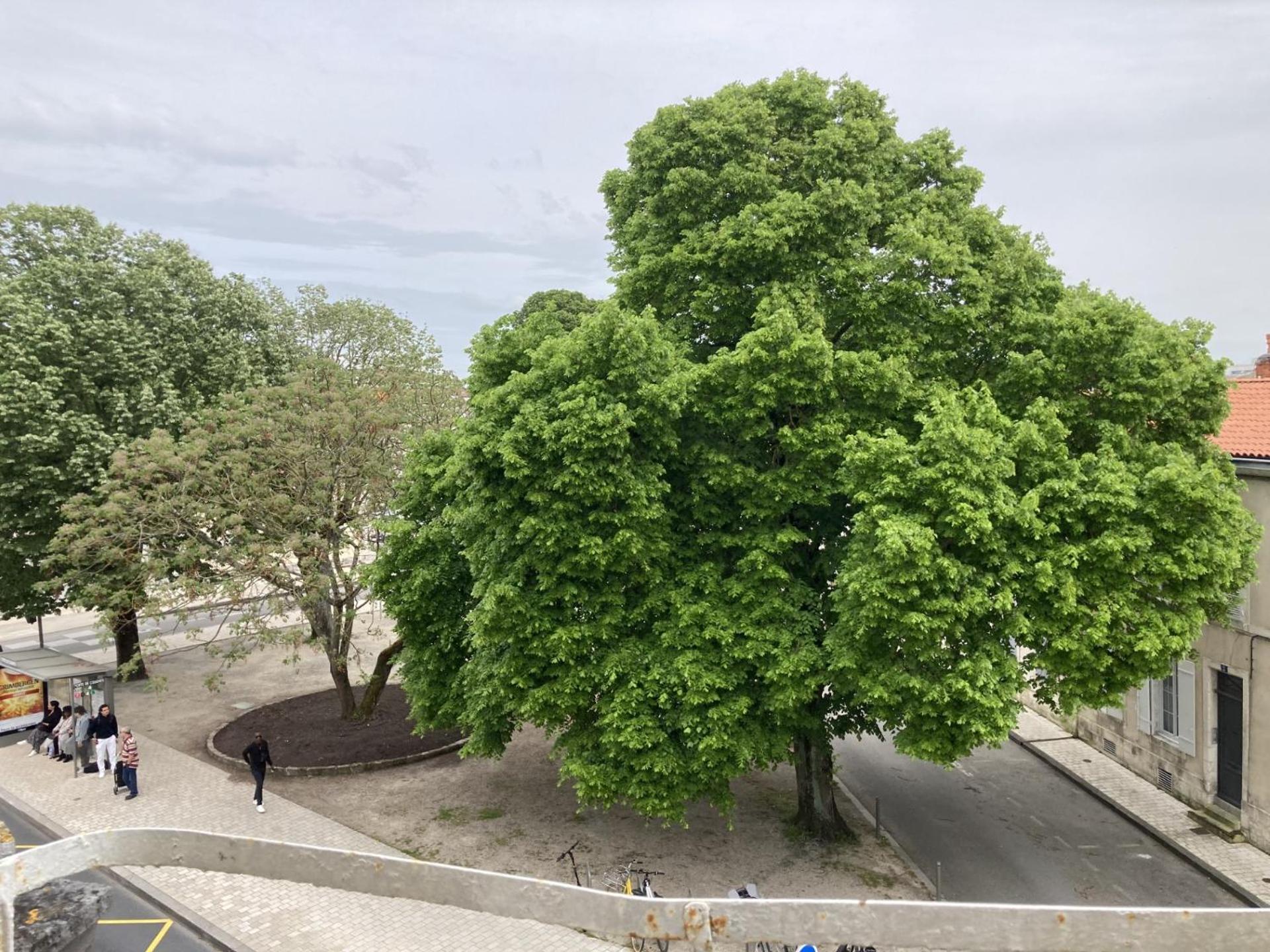 Yescale - Le Rondeau Lägenhet La Rochelle  Exteriör bild